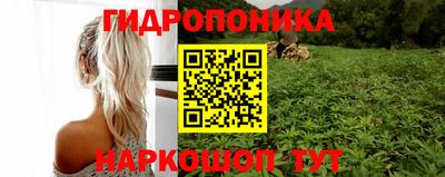 apvp Ипатово