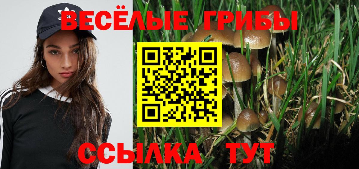 Камень-на-Оби  Галлюциногенные грибы ЛСД  Псилоцибиновые грибы мухоморы  Вход с VPN 